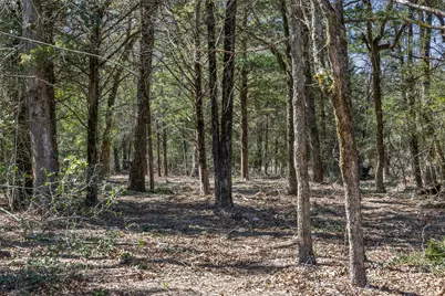 4.81 Ac Pauline Lane, Caldwell, TX 77836 - Photo 18