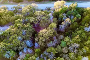 9278 N Hwy 77 Hwy, Lexington, TX 78947 - Photo 36