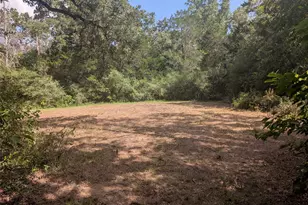 9278 N Hwy 77 Hwy, Lexington, TX 78947 - Photo 32