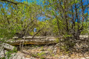 0 County Road 208, Watson, TX 76550 - Photo 8