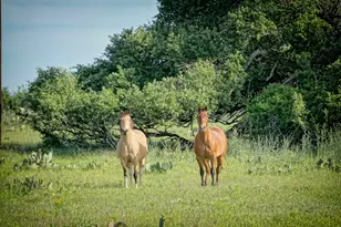 Lot 200 Swamp Creek Cove, Burnet, TX 78611 - Photo 1