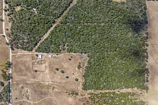 2135 Mule Creek Rd, Harwood, TX 78632 - Photo 12