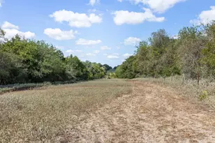 2025-2135 Mule Creek Rd, Harwood, TX 78632 - Photo 22