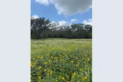 2135 Mule Creek Road, Harwood, TX 78632 - Photo 4