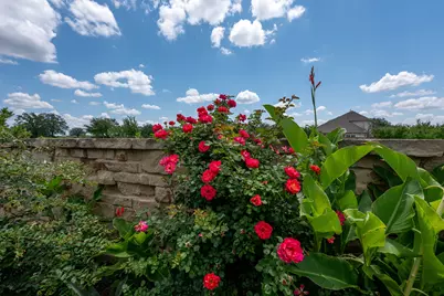 2420 Lobo Landing Cove, Georgetown, TX 78628 - Photo 26