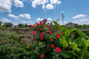 2420 Lobo Landing Cove, Georgetown, TX 78628 - Photo 26