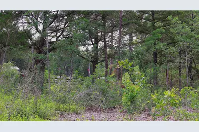200 Cheyenne Drive, Smithville, TX 78957 - Photo 12