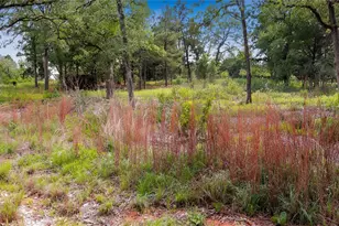 200 Cheyenne Dr, Smithville, TX 78957 - Photo 1