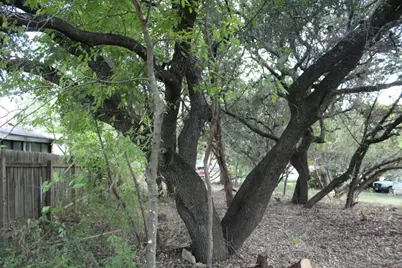 11502 Bee Street, Jonestown, TX 78645 - Photo 2