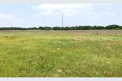 1672 Sayers Tract 4 Road, Bastrop, TX 78602 - Photo 6