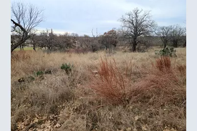 0 Peg Leg Lane, Buchanan Dam, TX 78609 - Photo 8