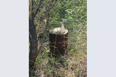 0 Peg Leg Lane, Buchanan Dam, TX 78609 - Photo 16