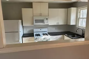 1513 Drake Ave, Austin, TX 78704 - Photo 4