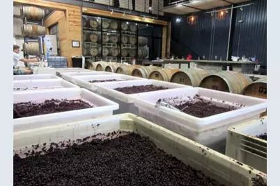 313 Rowland Drive, Austin, TX 78745 - Photo 24