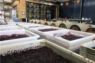 313 Rowland Dr, Austin, TX 78745 - Photo 24