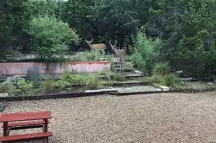 18220 Shepherds Corral, Dripping Springs, TX 78620 - Photo 6