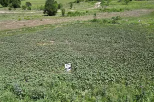 Lot 25 Serenity Dr, Bertram, TX 78605 - Photo 2