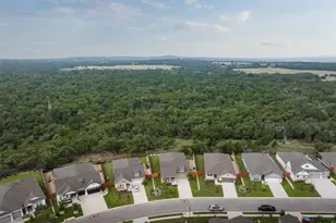 293 Barnhill Loop, Dripping Springs, TX 78620 - Photo 30