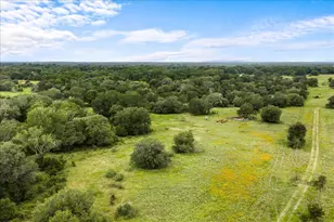8413 Mach Rd, La Grange, TX 78945 - Photo 1