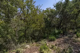 128 Hidden Springs Ct, Spicewood, TX 78669 - Photo 12