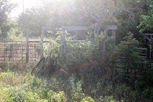 108 Sorrel St, Red Rock, TX 78662 - Photo 12