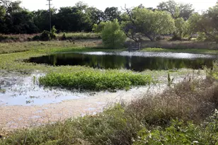 108 Sorrel St, Red Rock, TX 78662 - Photo 14