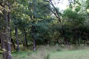 108 Sorrel St, Red Rock, TX 78662 - Photo 20