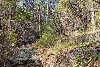 12130 Fitzhugh Place, Dripping Springs, TX 78620 - Photo 24