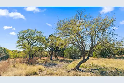 12130 Fitzhugh Place, Dripping Springs, TX 78620 - Photo 12