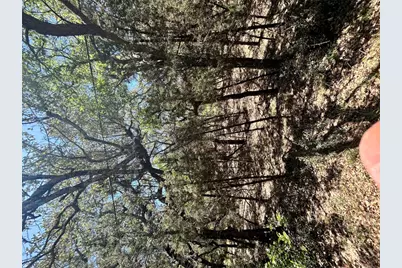 21505 Cardinal Avenue, Leander, TX 78645 - Photo 18