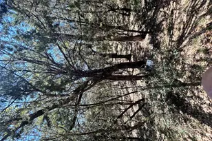 21505 Cardinal Ave, Leander, TX 78645 - Photo 16