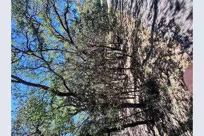 21505 Cardinal Avenue, Leander, TX 78645 - Photo 12