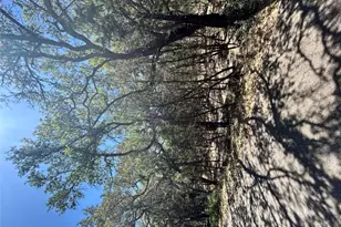 21505 Cardinal Ave, Leander, TX 78645 - Photo 1