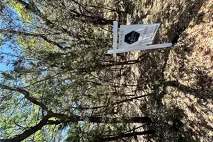 21505 Cardinal Ave, Leander, TX 78645 - Photo 6