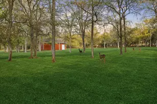 317 Colorado Dr, Cedar Creek, TX 78612 - Photo 28