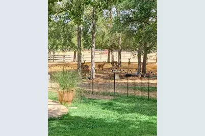 317 Colorado Drive, Cedar Creek, TX 78612 - Photo 24