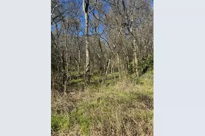 Lots 638. 639. 640 Kaukonahua Lane, Bastrop, TX 78602 - Photo 1