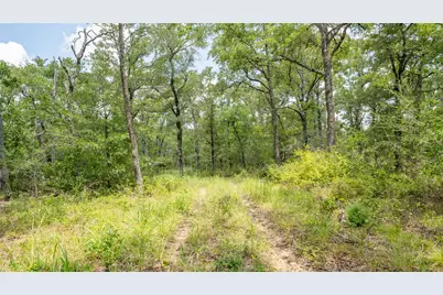 418-D County Road 405, Buckholts, TX 76518 - Photo 6