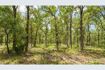 418-D County Road 405, Buckholts, TX 76518 - Photo 18