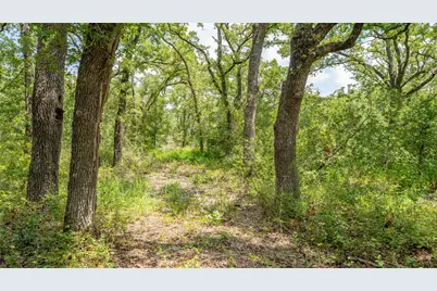 418-D County Road 405, Buckholts, TX 76518 - Photo 14