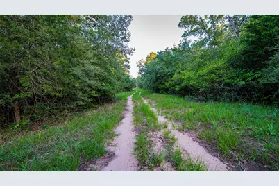 1462 County Road 313, Thrall, TX 78947 - Photo 12