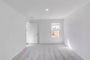 177 Pink Footed Pass, Uhland, TX 78640 - Photo 20