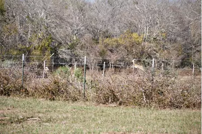 Tbd County Road 405, Flatonia, TX 78941 - Photo 18