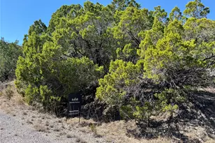 8700 Tegua Cove, Lago Vista, TX 78645 - Photo 1