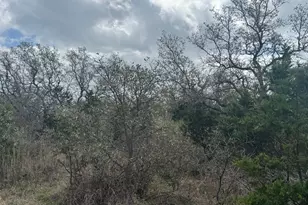 Lot 33 Eagle Feather, Kingsland, TX 78639 - Photo 10