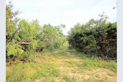 Tbd Mesquite Road, Cedar Creek, TX 78612 - Photo 2