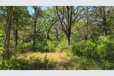 277 Meuth Cemetery Road, Red Rock, TX 78662 - Photo 6