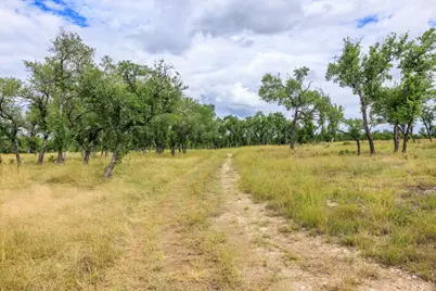 0 Friedrich Road, Fredericksburg, TX 78624 - Photo 28