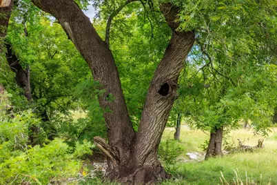 0 Friedrich Road, Fredericksburg, TX 78624 - Photo 10