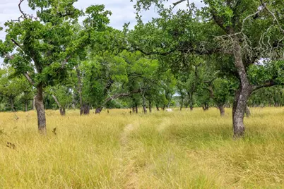 0 Friedrich Road, Fredericksburg, TX 78624 - Photo 6
